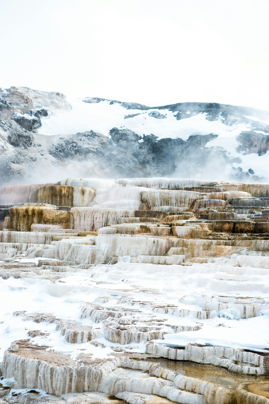 From Sunny Meadows to Snowy Peaks: Experiencing Yellowstone’s Weather Shift