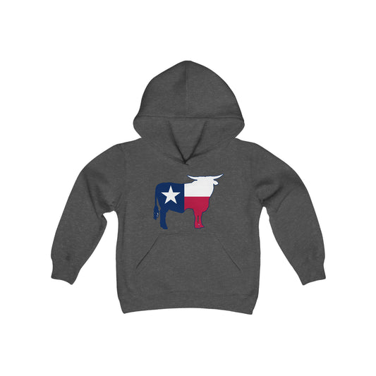 Big Tex Youth Heavy Blend Hooded Sweatshirt
